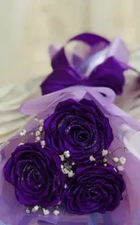 گل رز ربانی