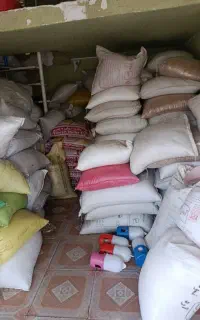فروش فوری گندم کیلویی 49500عمده