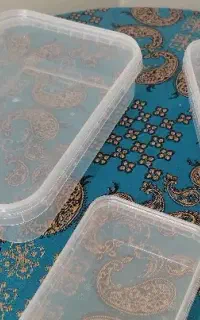 ظروف فریزری