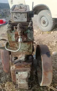 دیزل مارگو