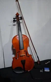 ویولن ۴×۴رناتو