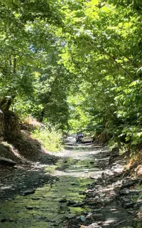 طبیعت گردی