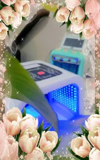 اجاره لاین فیشال