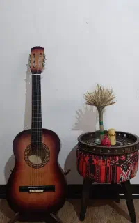 گیتار فوق‌العاده سالم