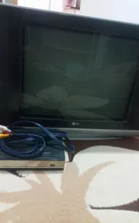 تلوزیون