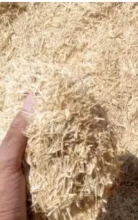 فروش کاه گندم و جو