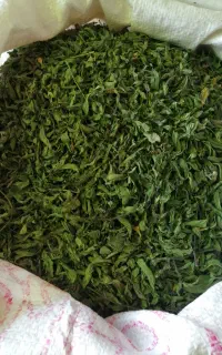 سلام نعنا ترخون رب انار همگی محلی درجه یک