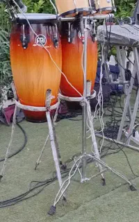 پرکاشن