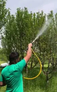 سمپاشی و باغبانی
