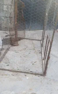 قفس اهنی