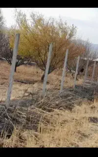 نصب فنس پایه فنس