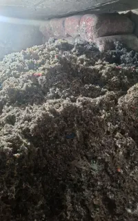 پرز پتو