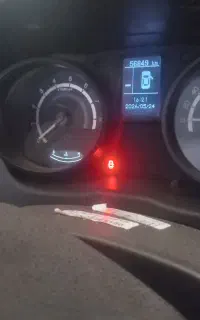شاهینg
