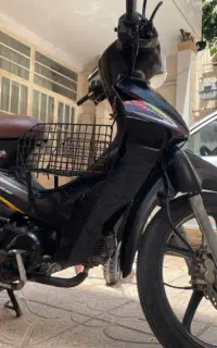 موتور