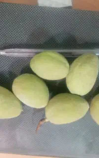 بادام با پوست سبز