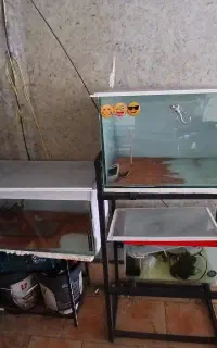 اکواریوم