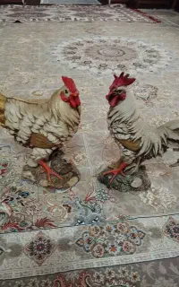 مجسمه دکوری