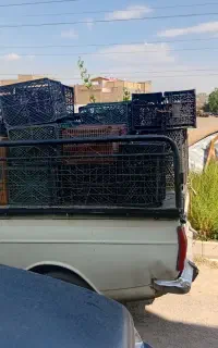 سبد میوه و گوجه