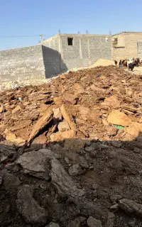 کود حیوانی
