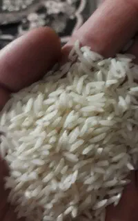 برنج هاشمی خوش عطر