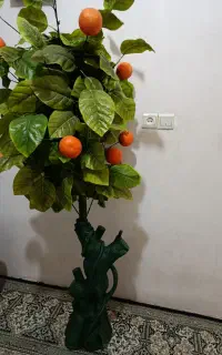 درخت پرتقال فرانسوی