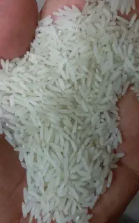 برنج تنظیم بازار زیر قیمت کل خراسان رضوی