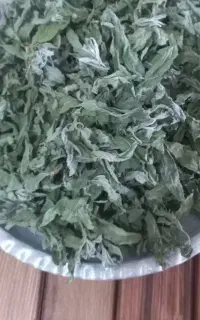 پونه خشک