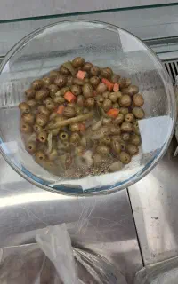 انواع زیتون و ترشک سنتی