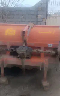 برگ زن چغندر
