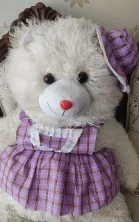 عروسک خرسی بزرگ