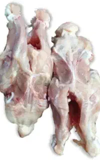 اسکلت مرغ