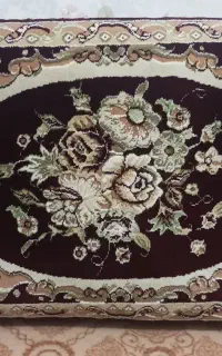 شش عدد پشتی