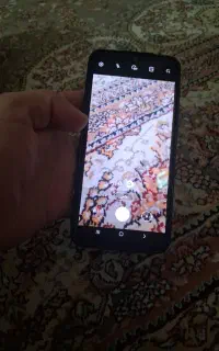 موبایل معاوضه با گوسفند