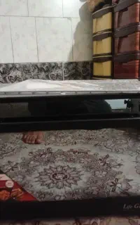 توستر لمسی قیمت مناسب