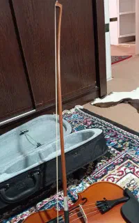 ویالون نو