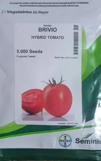گوجه رب موجوده زهکلوت