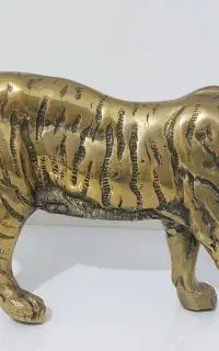 ببر برنزی