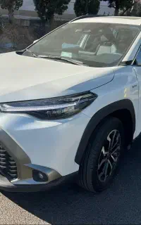 فرانتلندر صفر ۲۰۲۵