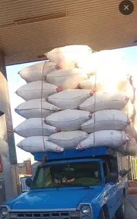 کاه درجه یک گندم دیم