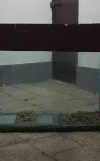 آکواریوم