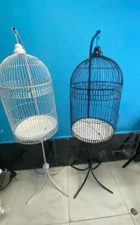 قفس گرد مرغ عشق