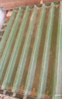 سینی فر ۷ عدد  موجود