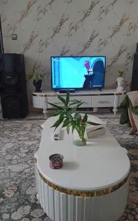 تلویزیون ال‌جی ۴۳