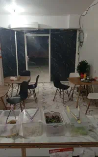 ساندویچ