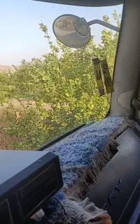 کشنده فاو جفت مدل ۹۴