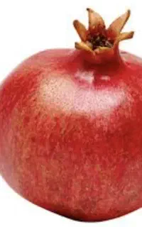 حراج انار