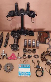 قطعات موتور تریل ایکسل 250