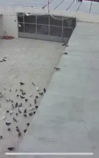 نیازمند کارگر جوان با جای خواب و غذا