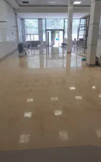 کفسابی و نماشویی وبتون ونقاشی
