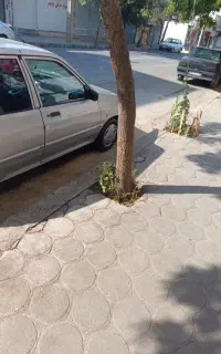 مدارک ماشین گم شده